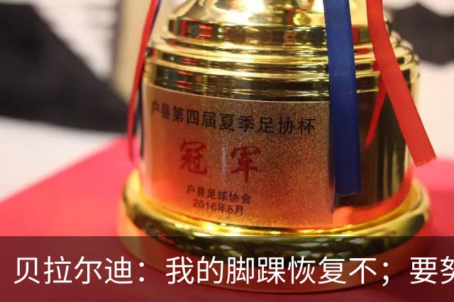 贝拉尔迪：我的脚踝恢复不；要努力重返意大利国家队